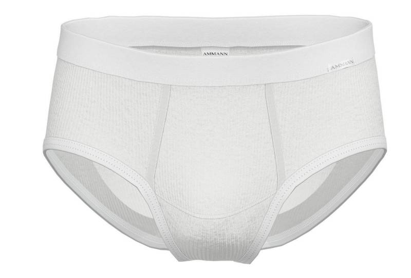 Ammann Minislip von Ammann