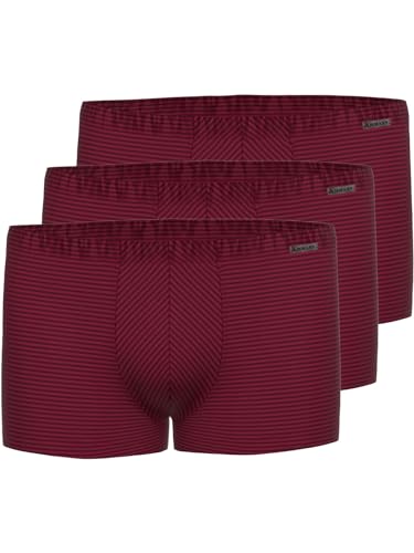 Ammann Retro Short Day Modern/Cotton & More 700351 Gr. 5 in Bordeaux von Ammann