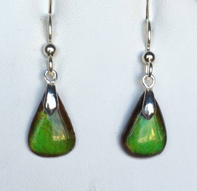 Ammolit Ohrringe Ammolit Ohrringe von AmmoliteRainbows