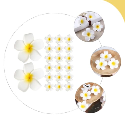 Amosfun 20stücke Blumen Haarnadel Mit Plumeria-blume Haarspange Für Damen Haarzubehör Blume Haar Clip Frisuren Accessoires von Amosfun