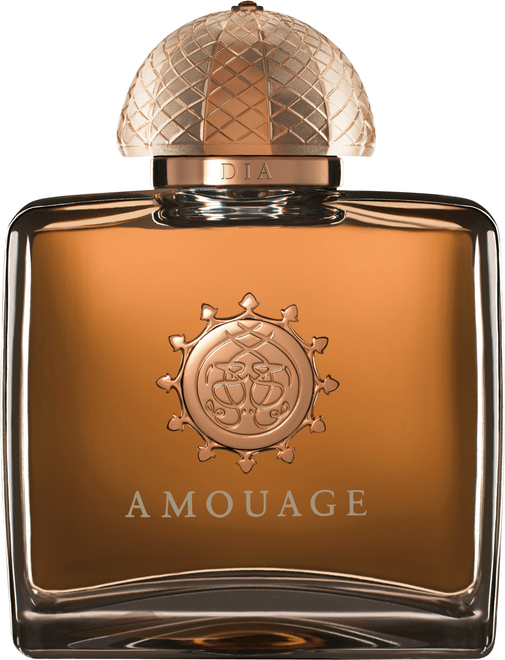 Amouage Dia Woman Eau de Parfum Nat. Spray 100 ml von Amouage