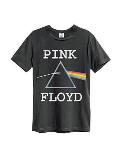 Amplified Herren Pink Floyd-Dark Side of The Moon T-Shirt, Grau (Anthrazit CC), XXL von Amplified