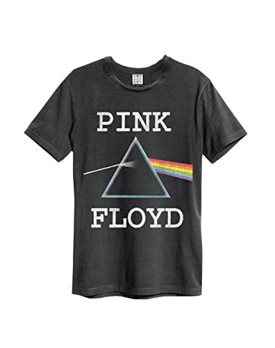 Amplified Herren Pink Floyd-Dark Side of The Moon T-Shirt, Grau (Charcoal Cc), L von Amplified