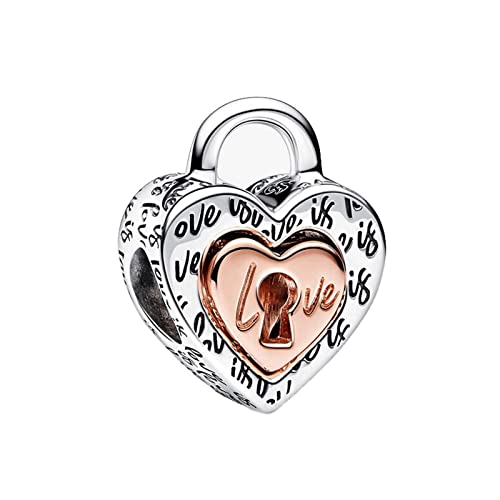 Amuefer Two-tone Padlock Splittable Heart Charms für Armbänder 925 Sterling Silber mit Cubic Zirkonia Anhänger für Halsketten Geburtstag Weihnachten Schmuck Geschenke für Frauen Mädchen von Amuefer