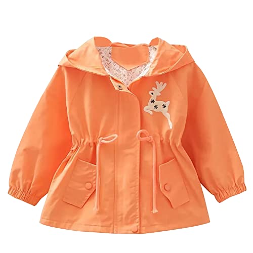 Amur Leopard Kinder Mädchen Übergangsjacke Winddichte Mantel Outdoor Windjacke mit Kapuze für Frühling und Herbst, Orange, 104-110 (Etikettgröße: 110) von Amur Leopard