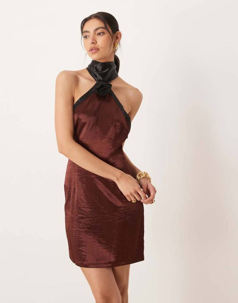 Amy Lynn - Minikleid aus Satin in Braun mit Neckholder in kontrastierendem Schwarz-Brown von Amy Lynn