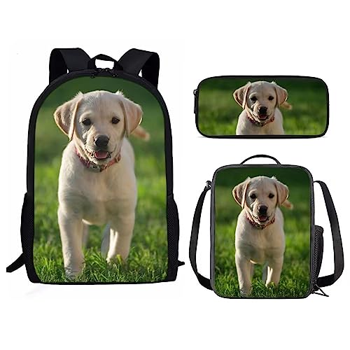 Amzbeauty Eulen-Rucksack und Lunch-Tasche Sets für Mädchen Jungen Kinder Schulanfang Kawaii Eule Rucksack Set Tierdruck, hund von Amzbeauty