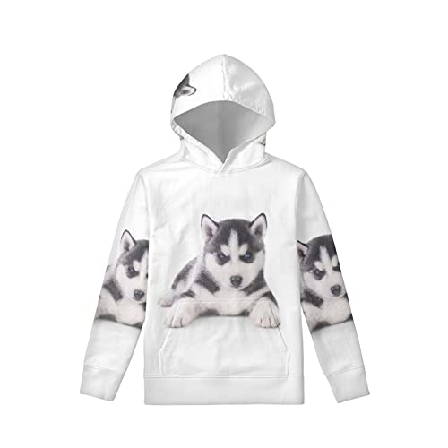 Amzbeauty Kinder-Kapuzenpullover mit niedlichem Tiermotiv, für Jungen, Oversize-Pullover, Kapuzenpullover, Sweatshirt für Alter 6–16 Jahre, Niedlicher Husky, 128 von Amzbeauty