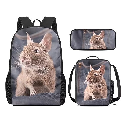 Amzbeauty Rucksack und Lunchbox für Kinder, Motiv: sibirischer Husky, 3-teiliges Set, hase von Amzbeauty