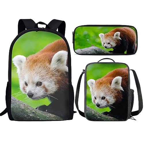 Amzbeauty Rugby Rucksack für Jungen mit Lunchbox Mädchen Burning American Football Rucksack Set mit Lunchtasche und Bleistift Geldbörse, Red Panda von Amzbeauty