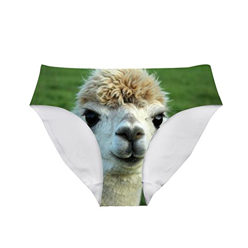 Amzbeauty Sexy Lustige Frauen Unterwäsche Slip Atmungsaktiv Hipster Panty Niedlich Katze Dinosaurier Print, Alpaka, 38 von Amzbeauty
