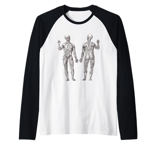 Muscle Man Workout Raglan Muscle Man Workout Raglan von Anatomical Art