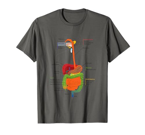 Anatomy and Physiology Apparel Designs - Herren & Damen - Unisex-Erwachsene & -Jugendliche - Weiß - S - U-Ausschnitt - Halbarm - T-Shirt - Anatomie-T-Shirt von Anatomy and Physiology Apparel Designs