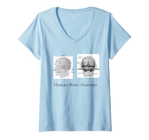 Damen Gehirn-Anatomie-Diagramm menschliche Gehirnanatomie T-Shirt mit V-Ausschnitt von Anatomy and Physiology Apparel Designs