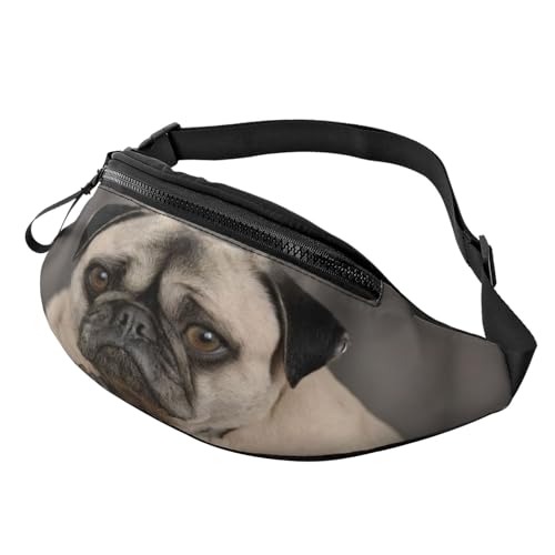 3D-Gürteltasche mit Lazy-Dog-Welpen-Motiv, für Damen und Herren, leichte Bauchtasche mit Reißverschlusstaschen, verstellbarer Gürtel für Spaziergänge mit dem Hund, Laufen, Radfahren, Wandern, Outdoor- 3D-Gürteltasche mit Lazy-Dog-Welpen-Motiv, für Damen und Herren, leichte Bauchtasche mit Reißverschlusstaschen, verstellbarer Gürtel für Spaziergänge mit dem Hund, Laufen, Radfahren, Wandern, Outdoor- von Anceky