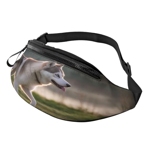 3D-Husky-Hund-Gürteltasche, Hüfttasche für Damen und Herren, leichte Bauchtasche mit Reißverschlusstaschen, verstellbarer Gürtel für Hundespaziergänge, Laufen, Radfahren, Wandern, Outdoor-Sport 3D-Husky-Hund-Gürteltasche, Hüfttasche für Damen und Herren, leichte Bauchtasche mit Reißverschlusstaschen, verstellbarer Gürtel für Hundespaziergänge, Laufen, Radfahren, Wandern, Outdoor-Sport von Anceky