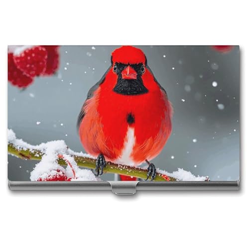 Anceky Visitenkarten-Broschüre mit Cartoon-Dinosaurier für Fachleute und Führungskräfte von Anceky