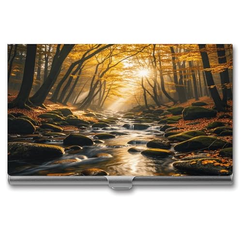 Visitenkartenetui, Schnallen-Stil, geschlossen, Visitenkartenhalter aus Metall, querbedruckt, schmale Geldbörse, Namenskartenhalter für Visitenkarten, Herren und Damen von Anceky