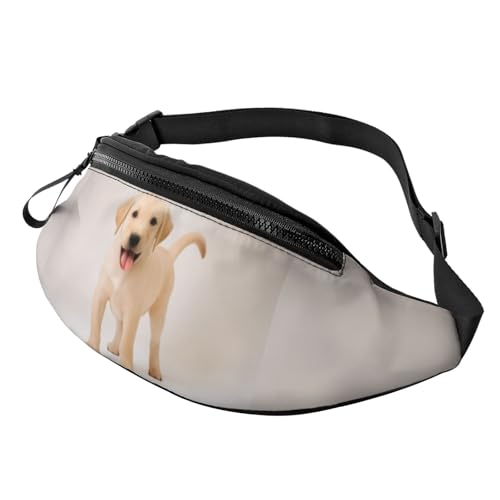 Gürteltaschen mit 3D-Golden Retrievern, Hüfttasche für Damen und Herren, leichte Bauchtasche mit Reißverschlusstaschen, verstellbarer Gürtel für Hundespaziergänge, Laufen, Radfahren, Wandern, Outdoor- Gürteltaschen mit 3D-Golden Retrievern, Hüfttasche für Damen und Herren, leichte Bauchtasche mit Reißverschlusstaschen, verstellbarer Gürtel für Hundespaziergänge, Laufen, Radfahren, Wandern, Outdoor- von Anceky