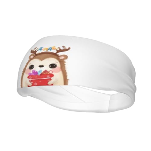 Niedliche Weihnachts-Igel-Stirnbänder für Herren und Damen, rutschfest, feuchtigkeitsableitendes Sport-Schweißband für Fitnessstudio, Basketball, Yoga, Haarbänder von Anceky