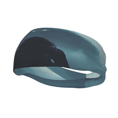 Schweißresistentes Stirnband mit Vampir-Dämonen-Motiv, modisches Sport-Kopftuch, atmungsaktives Haarband, schweißableitendes Stirnband für Fitnessgeräte für Damen und Herren Schweißresistentes Stirnband mit Vampir-Dämonen-Motiv, modisches Sport-Kopftuch, atmungsaktives Haarband, schweißableitendes Stirnband für Fitnessgeräte für Damen und Herren von Anceky