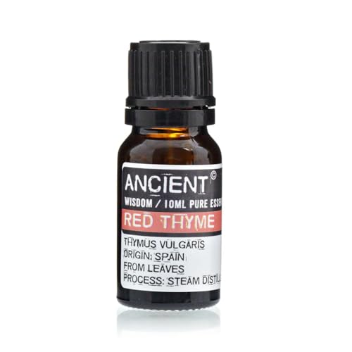 Rot Thyme Essential Oil 10 ml von Ancient Wisdom