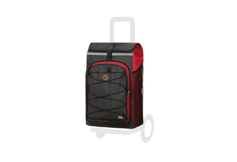 Andersen Einkaufstrolley Tasche Fado 2.1 rot, Thermofach 9 Liter, wasserabweisend von Andersen
