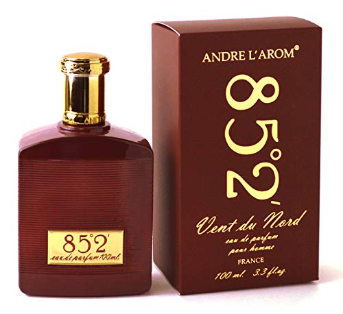 VENT DU NORD Parfüm für herren | für Männer | 8-12 stunden langanhaltend | Frankreich | für mann | 100 ml (85°2' [Holzig & Fougere]) von Andre L'Arom
