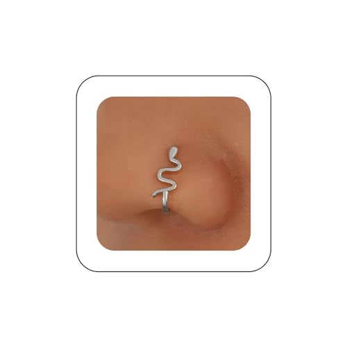 Aneneiceera Punk Schlange Nasenring Reif Gold Schlange Nasenring Bolzen Schlange Nase Schraube Bolzenring Boho Kein Piercing Nase Reif Gothic Clip Auf Nase Ring Schmuck Für Frauen (Silber) von Aneneiceera