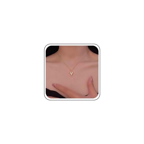 Aneneiceera Vintage Puffy Herz Choker Halskette Gold Herz Anhänger Halskette Winzige Metall Herz Halskette Kurze Satelliten Kette Halskette Schmuck Für Frauen Und Mädchen (Gold) von Aneneiceera