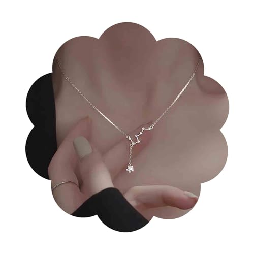 Aneneiceera Vintage Star Y Drop Halskette Silber Stern Anhänger Halskette Cz Kristall Big Dipper Choker Halskette Minimalistisch Y Lariat Halskette Kettenschmuck Für Frauen Und Mädchen von Aneneiceera