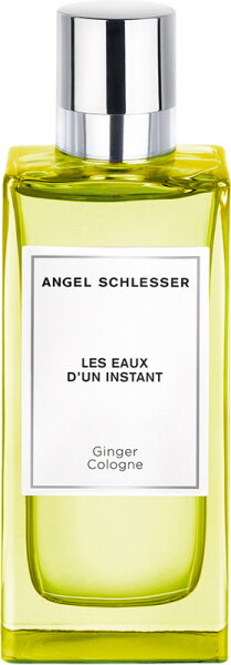 Angel Schlesser Les Eaux d'un Instant Ginger Cologne Eau de Toilette (EdT) 100 ml von Angel Schlesser