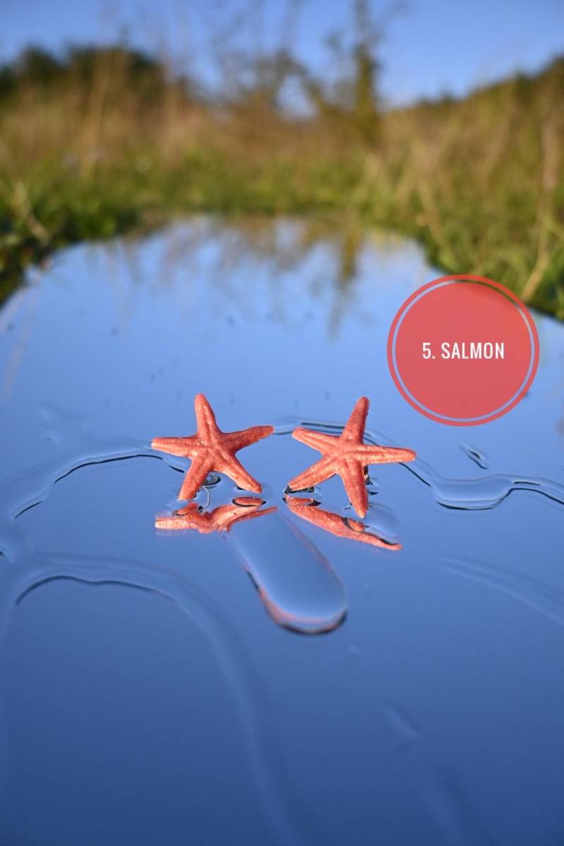 Silikon-Seestern-Ohrringe Aquamarin-Meerjungfrau-Schmuck von AngelsworldCZ