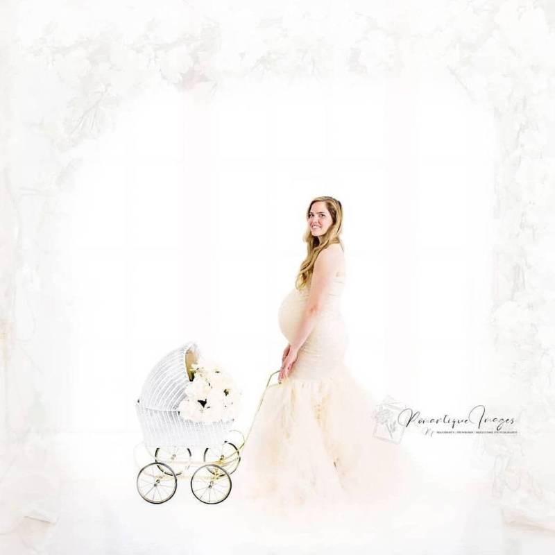 Champagner Tulle Kleid Streifen Flowy Tutu/Spitze Geschlossen/Nicht Schiere/Mutterschaft Schwangerschaft Bauch Sitzung/Besondere Ocassion/Foto Prop von AngieKDesigns