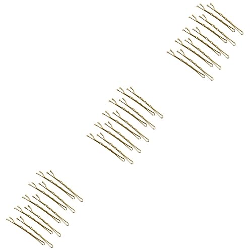 144 Stk turnsackerl turntasche haar spangen swallet Handtasche haarspangen klammer haarklauenclips Gold lack für grill haar clips spangen Stahldraht Haarnadel Kopfbedeckung Damen von Angoily