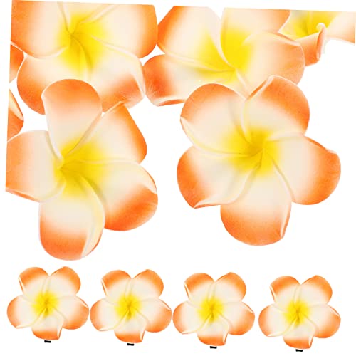 Angoily 12 Stk Frangipani Haars pange haarklammer set haarspangen set Strand-Haarspangen für Frauen hawaiianische Haarspangen für Mädchen Haarnadel Tiara Haarspange Blumen für Haare von Angoily