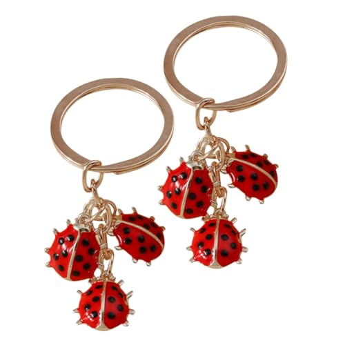 Angoily 2stücke Marienkäfer Schlüsselanhänger Aus Metall Kreativer Schlüsselring Als Anhänger-ornament Praktisch Für Auto Und Tasche Stilvolles Accessoire Für Frauen von Angoily