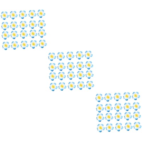 Angoily 3 Sätze Eva Frangipani Haaraccessoires Hawaii Stil Diy Haarschmuck Für Frauen Leichte Und Langlebige Haarklammern Für Kreative Looks Für Partys Und Besondere Anlässe 50 Stück * 3 von Angoily