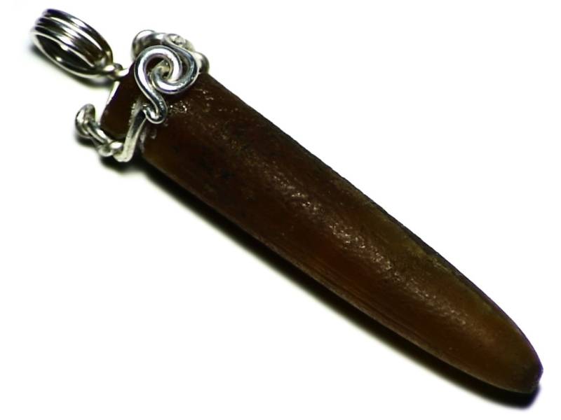 Belemnite Fossil Anhänger in Sterling Silber, Handgemachte Halskette, Runde Draht Wickeln, Alte Kopffüßer Shell, Tintenfisch-Vorläufer von AngryTurtle