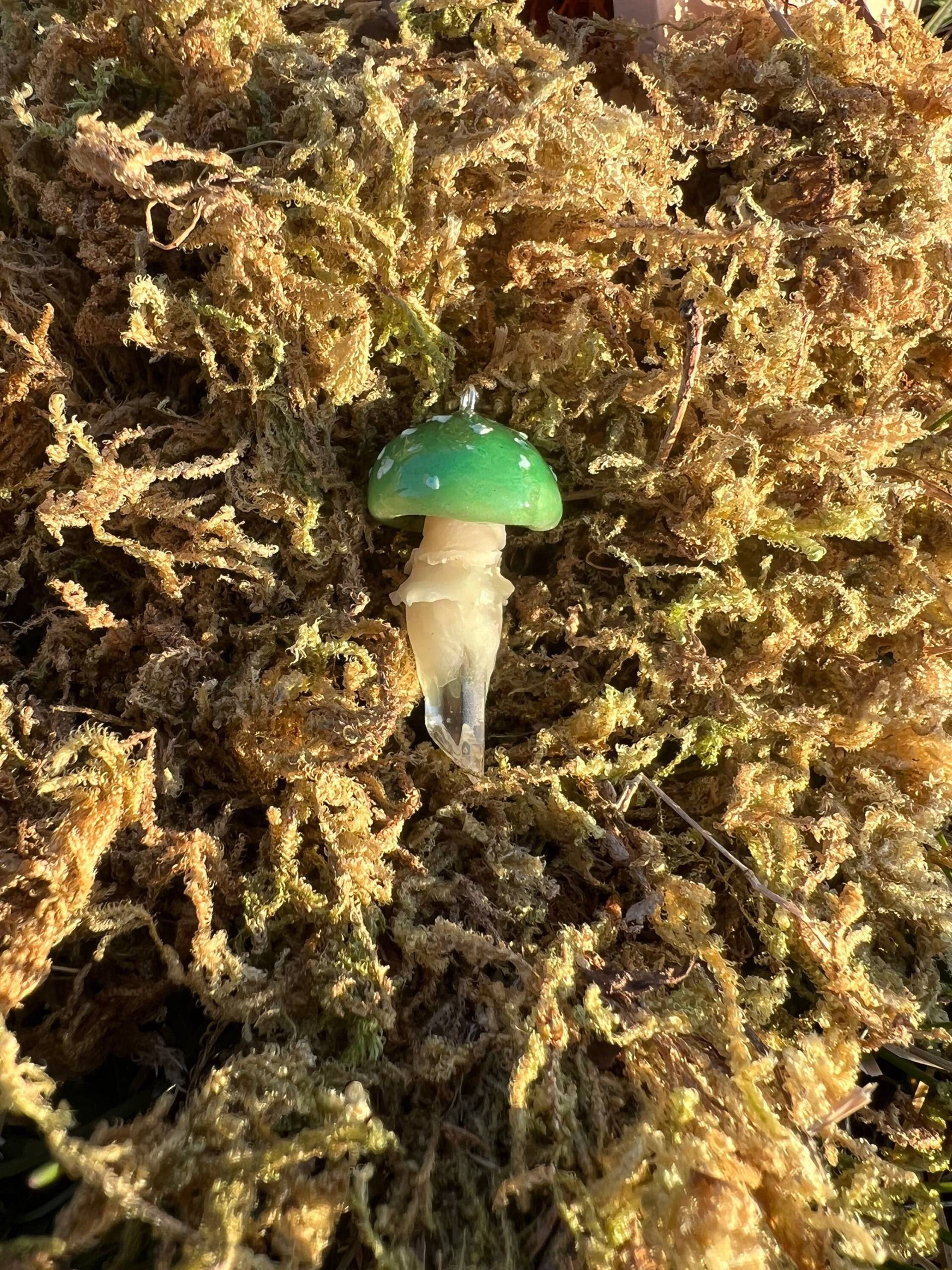 Waldpilze von AngstySnail