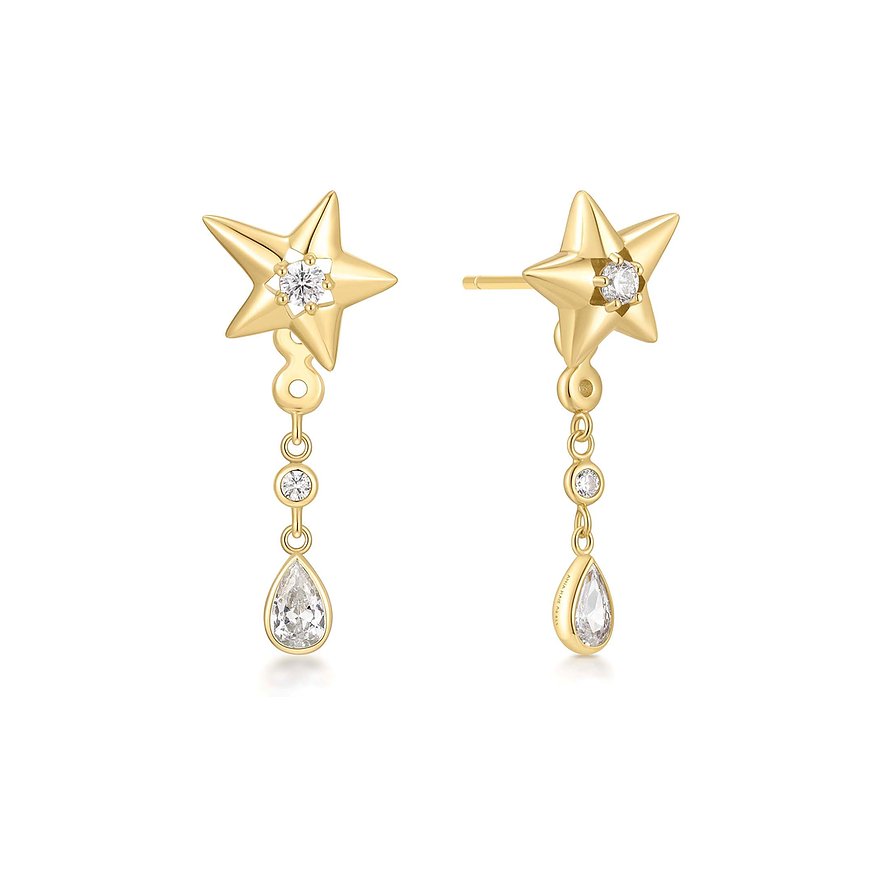 Ania Haie Ohrhänger E066-07G 925er Silber von Ania Haie