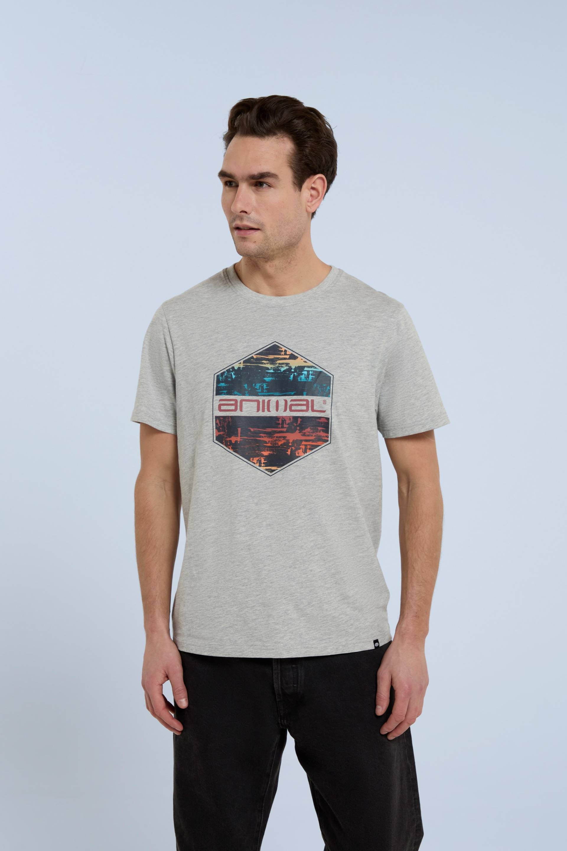 Jacob Bio-Baumwoll Herren T-Shirt mit Logo - Grau von Animal