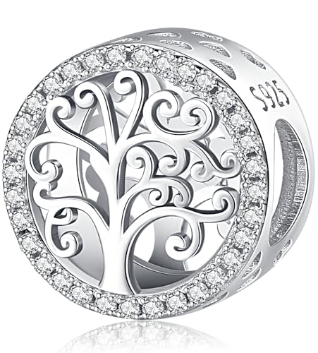 Charm Anhänger 925 Sterling Silber für Armbänder, Charms Anhänger Kompatibel mit Pandora-Armband und Europäische Armbänder für Frauen Mädchen (G) von Aniu