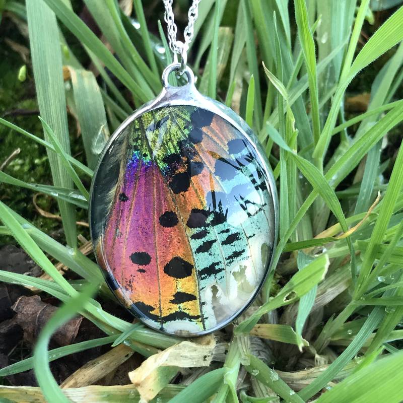 Echte Sonnenuntergang Motte Multi Farbige Schmetterlingsflügel Anhänger Halskette Auf Einer Sterling Silber Kette Echte Sonnenuntergang Motte Multi Farbige Schmetterlingsflügel Anhänger Halskette Auf Einer Sterling Silber Kette von AnnSmythStainedGlass