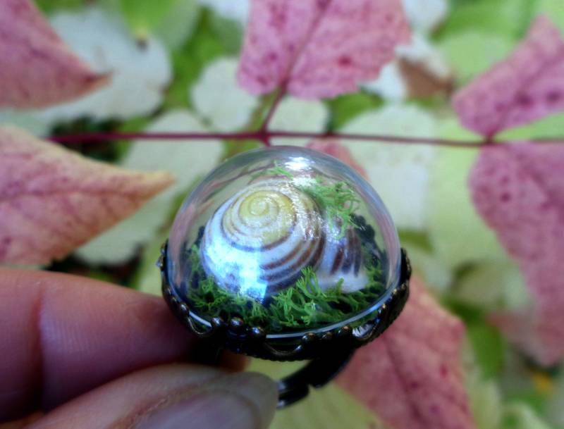 Terrarium Ring Echter Moosring Mit Schneckenhaus Echtem Moos Glasring Bronze Geschenk Für Frauen von AnnaleasFinest