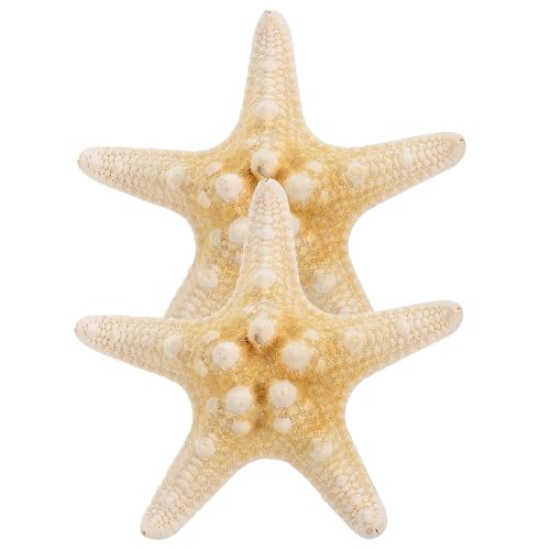 Anneome 2 Stück Handgefertigte Seestern Haarspangen aus Natürlichem Material Einzigartiger Haarschmuck für Damen und Mädchen für Strand Party und Festliche Anlässe von Anneome