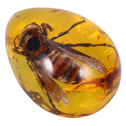 Anneome Bernstein Anhänger Biene Insekten Specimen Schmuckanhänger Damen Kette Amulett Natürlicher Bernstein Schmuckaccessoire Leicht und Langlebig Für Schmuckherstellung und Sammeln von Anneome