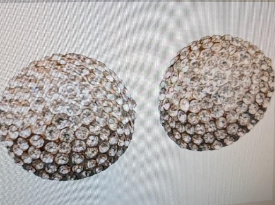 Jarin Domed Ohrclips Swarovski Kristallen Vintage Made in Den Usa von AnniesFabulousBoutiq