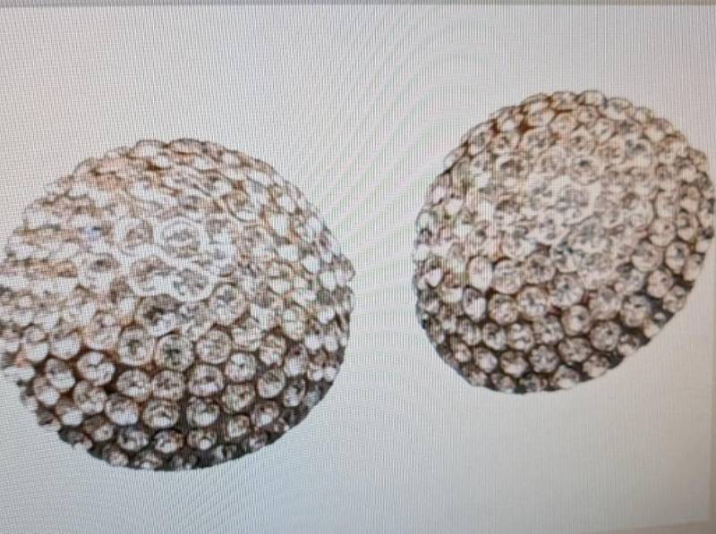 Jarin Domed Ohrclips Swarovski Kristallen Vintage Made in Den Usa von AnniesFabulousBoutiq