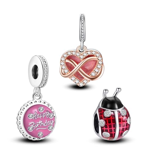 Annmors 925 Sterling Silber Bead Charms für Europäische Armbänder und Halskette Perlen Happy Birthday Ladybird Infinity mit 5A Zirkonia,Valentinstag,Muttertag,Geschenkanhänger Frauen Mädchen 3-Stück von Annmors